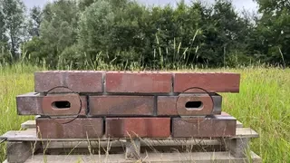 Nistkasten Mauersegeler 